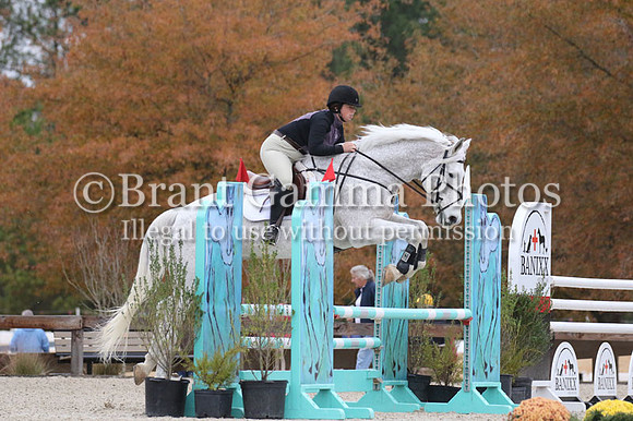 aVFDL8179