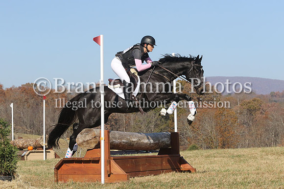 VF3P3629
