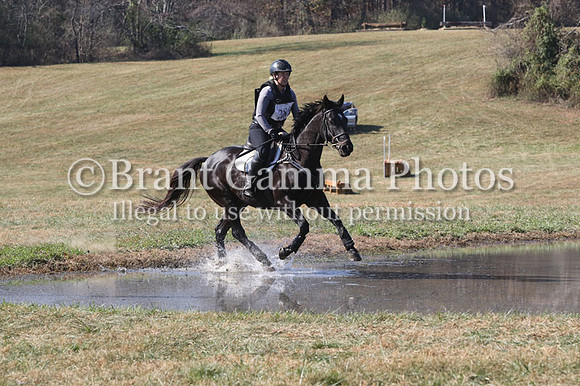 VF3P4390