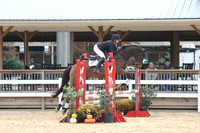 VF3L4351