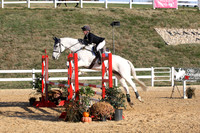 VF3L2956