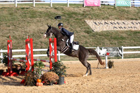 VF3L3033