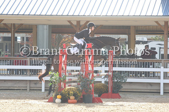 VF3L3790