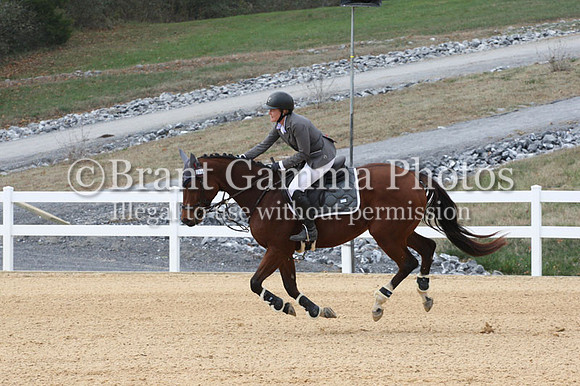 VF3L7101