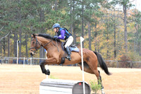 VFS_6105