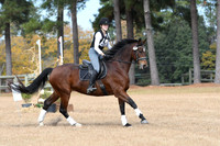VFS_8608