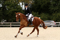 WC3Q0081