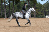 VFS_8553