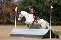 VFDL0031