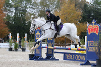 VFDL8865