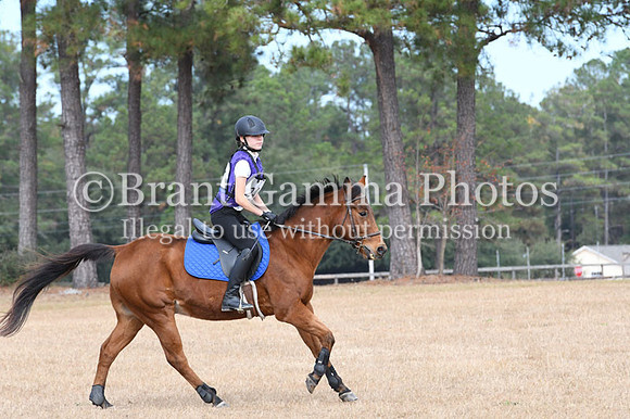 VFS_8774