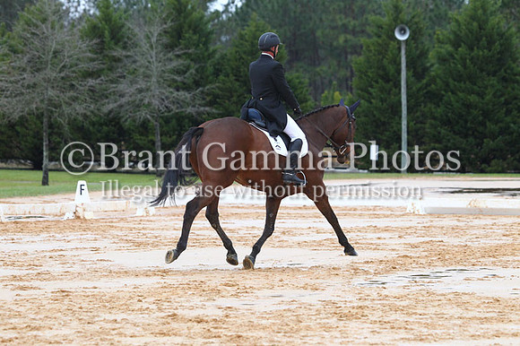 CI9P0584