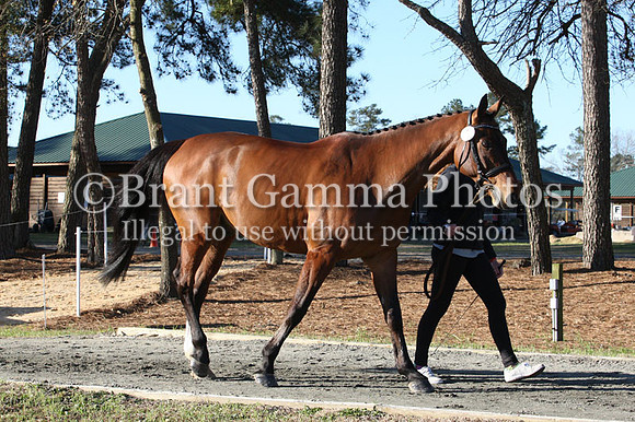 CI9L2330