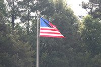 LL9P0660
