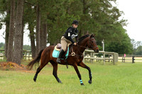 WM9J0831