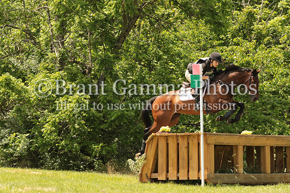 VM9D0334