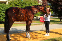 VS9B2575