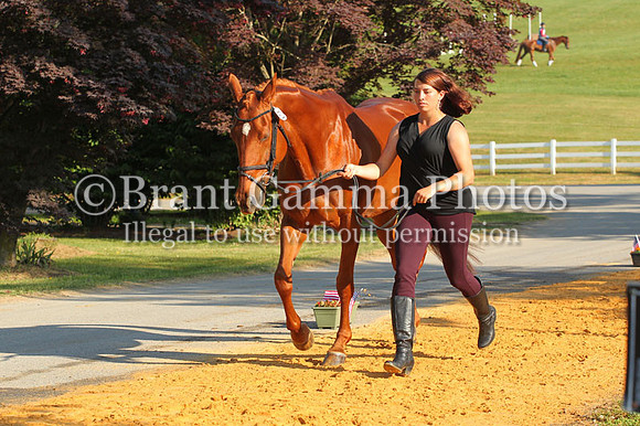 VS9B2570