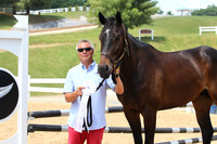 VS9P4607
