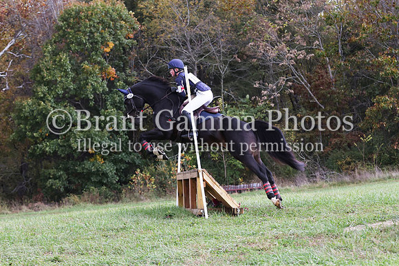 VF1R1375