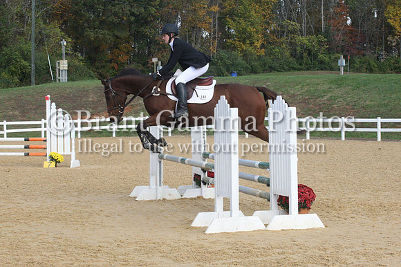 VF1L7847