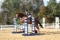 VF1L7493