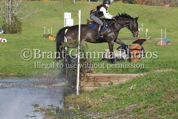 VF1P3978