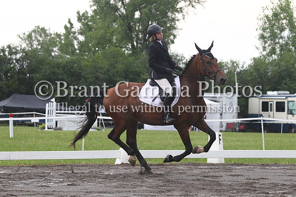 GV9P0554