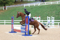 VF1L5799