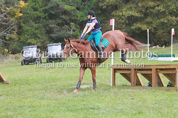 VF1P4842