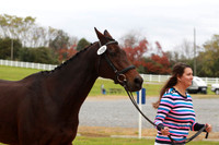 VF1B8144
