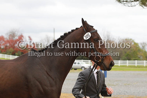 VF1B8222