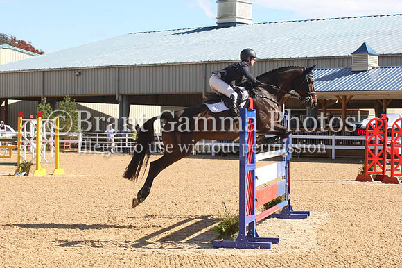 VF1L0349
