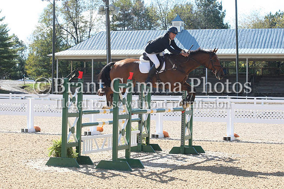 VF1L0384