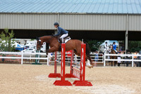 VS1L2869