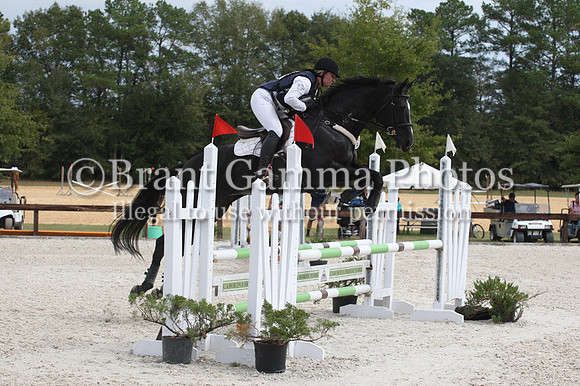 WO9L2238