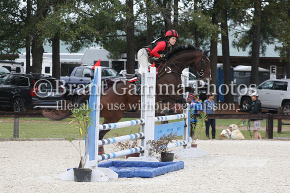 WO9L1956