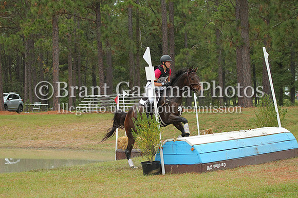 WO9B1133
