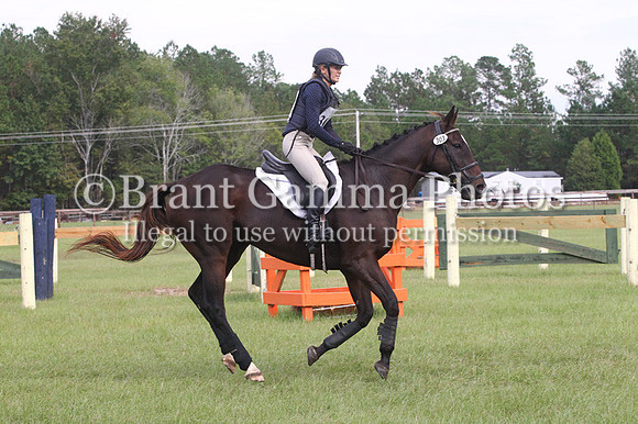 WO9P1104