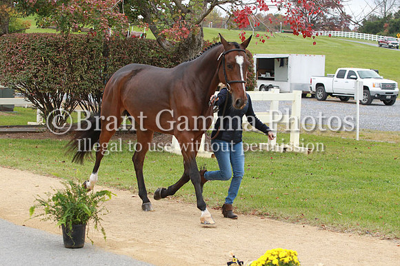 VF1B8693