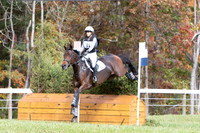 21V20441