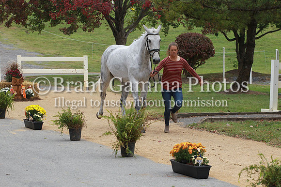 VF1B8532
