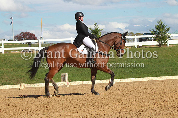 VF1P0991