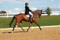 VF1P0992