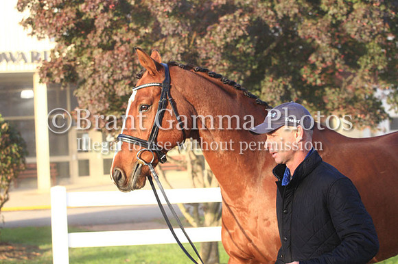 VF1B2374