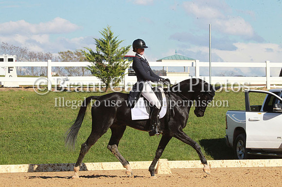 VF1P1322