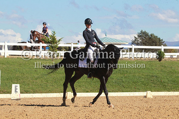 VF1P1326