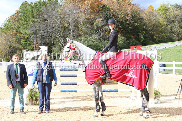 21V20991