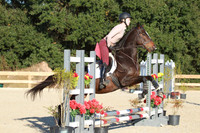 WC1P1186