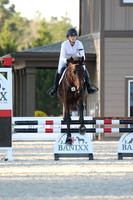 262A5333